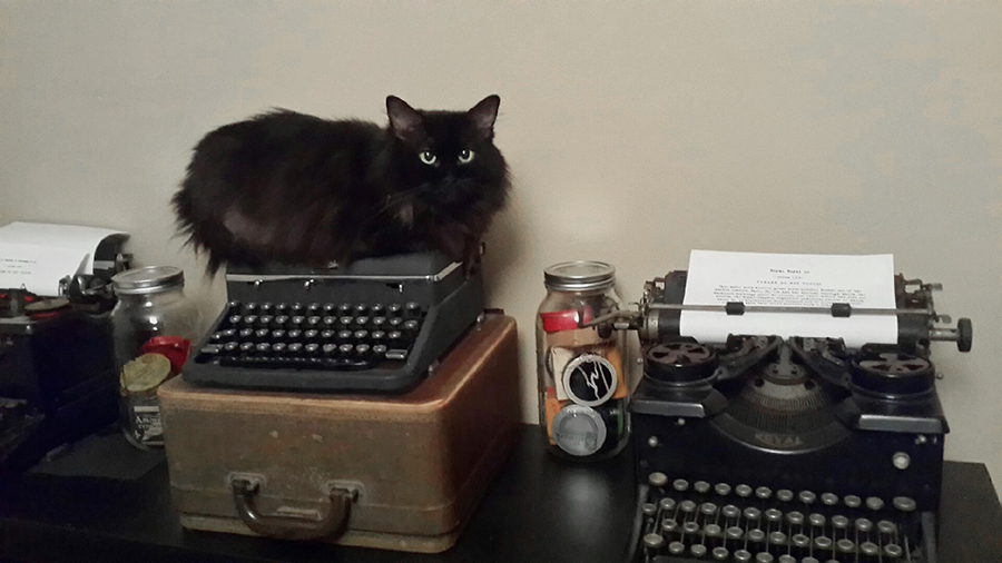 Meet Rachel Carrera Canvas Rebel Article